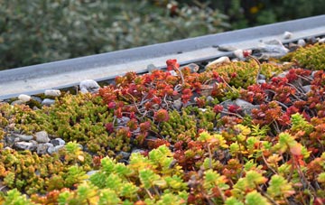 the cost of Jemimaville green roof installation